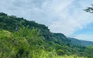 SCENIC TOURISM LAND FOR SALE IN HAPUTALE BERAGALA BELT