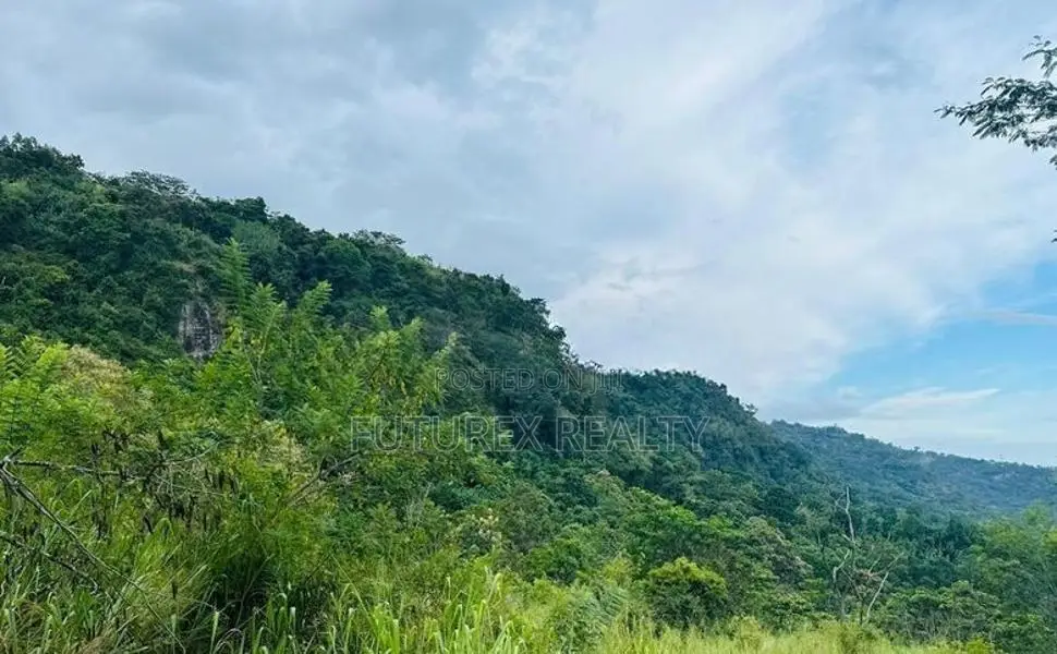 SCENIC TOURISM LAND FOR SALE IN HAPUTALE BERAGALA BELT