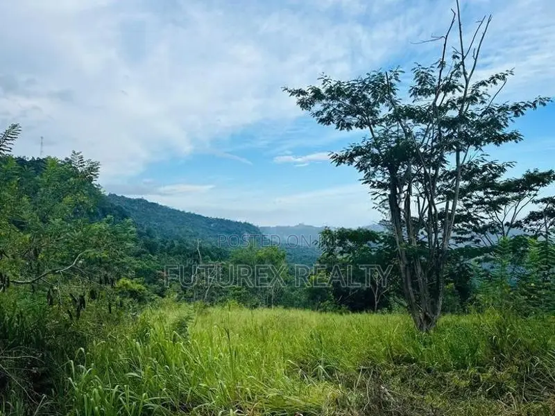 SCENIC TOURISM LAND FOR SALE IN HAPUTALE BERAGALA BELT