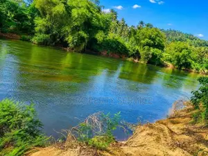 River front land For Sale in Giriulla (SSPL-507)