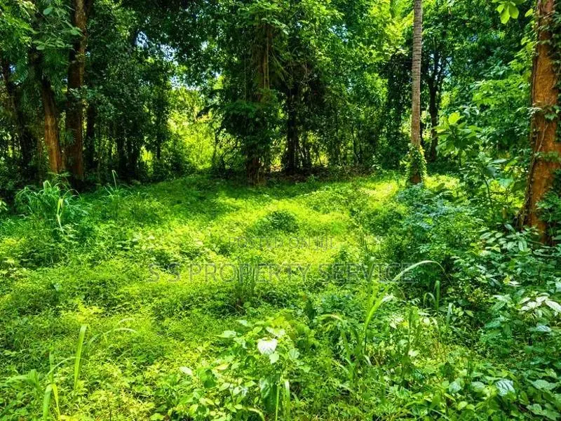River front land For Sale in Giriulla (SSPL-507)