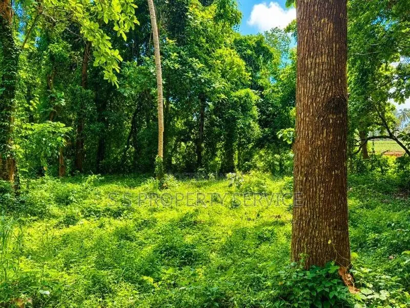 River front land For Sale in Giriulla (SSPL-507)