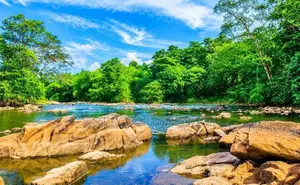 River front land For Sale in Giriulla (SSPL-507)