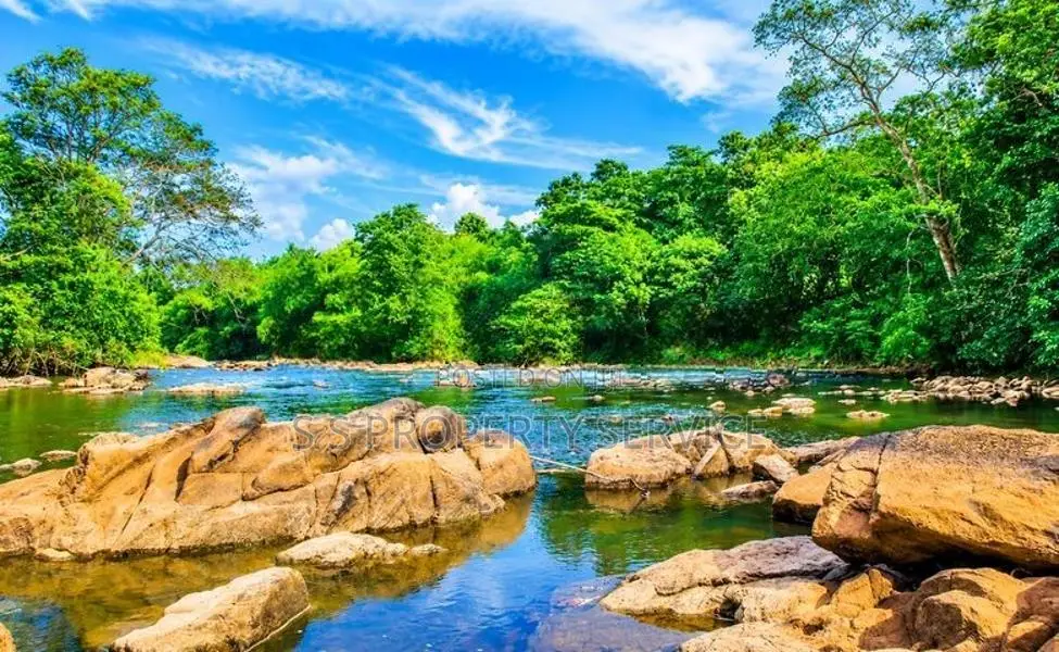 River front land For Sale in Giriulla (SSPL-507)