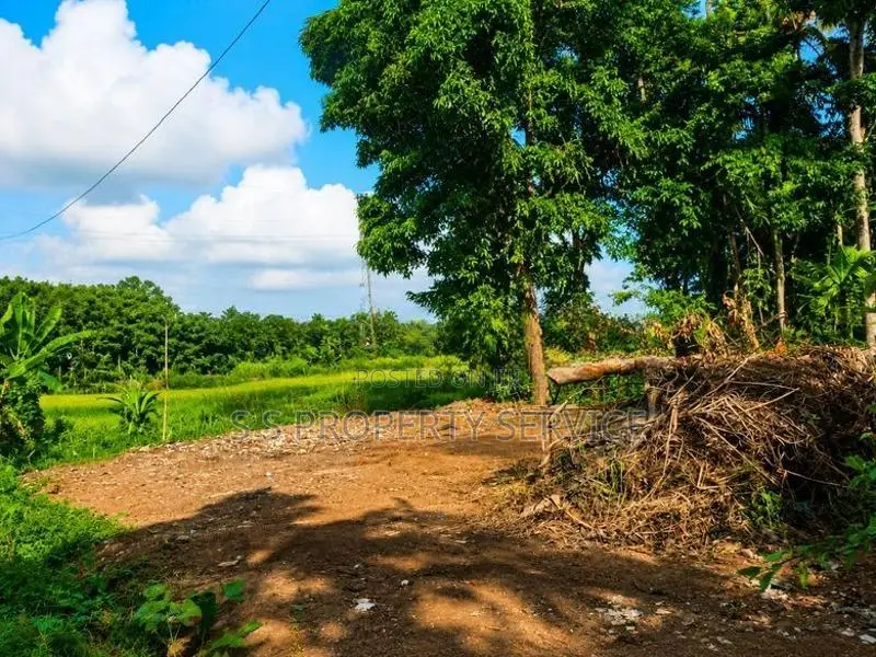 13.45 Perches land For Sale in Panadura (SSPL-508)