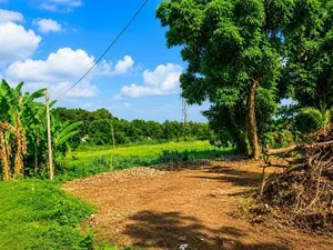 13.45 Perches land For Sale in Panadura (SSPL-508)