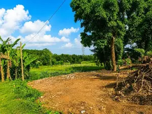 13.45 Perches land For Sale in Panadura (SSPL-508)