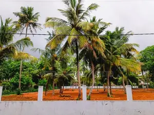 Weligama - Midigama Superb Tourism Luxurious Land Plots for Sale