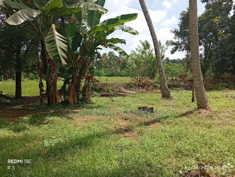 Land for sale in Kurunegala