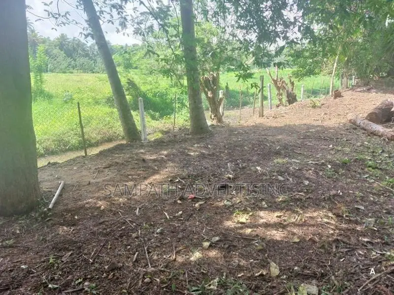 Land for sale in Kurunegala