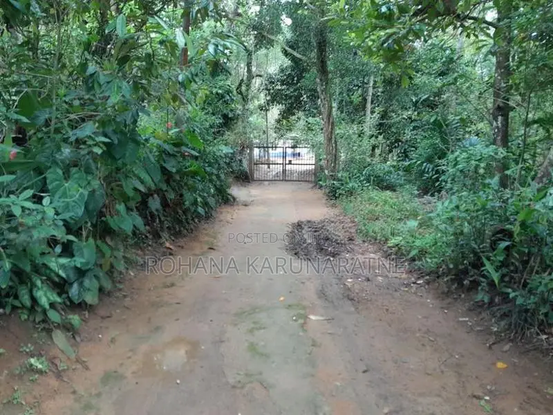 Land with House for Sale Gampola