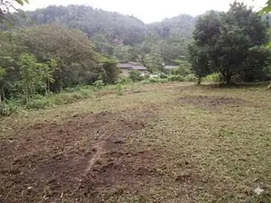 Land For Sale In Horana