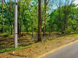 Sooriyawewa Land with A House for Sale (SSPL-509)