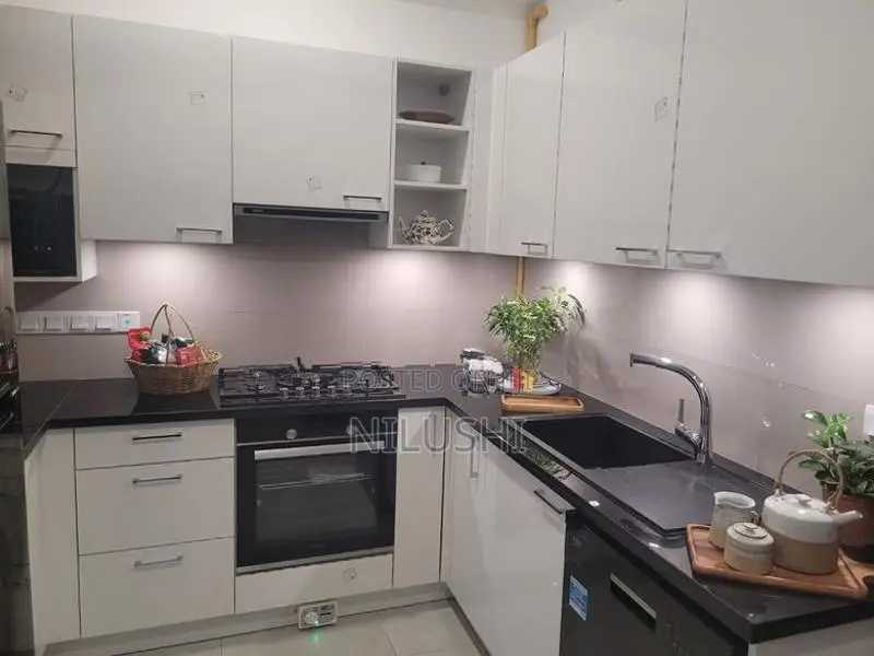 Brand new beautifully furnished apartment for sale | AS0020