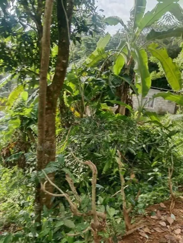 Bulathsinhala House for sale
