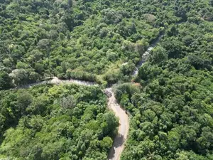 Valuable Land for Sale in Ella