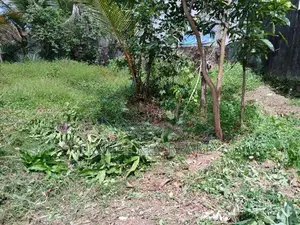 Land for Sale in Gampaha Yakkala