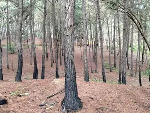 Land At Kithal Ella For Sale