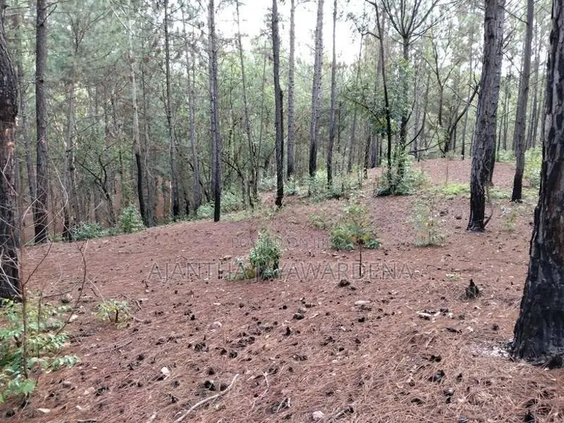 Land At Kithal Ella For Sale