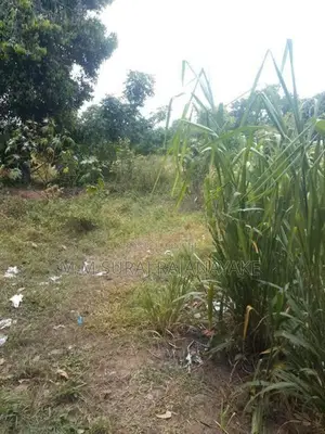 ජා- ඇල - ඒකල අවටින් වටින ඉඩමකි.