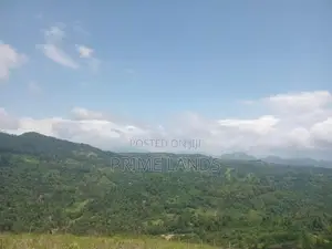 land for sale nillamba