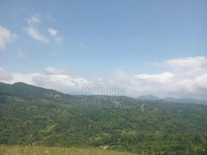land for sale nillamba