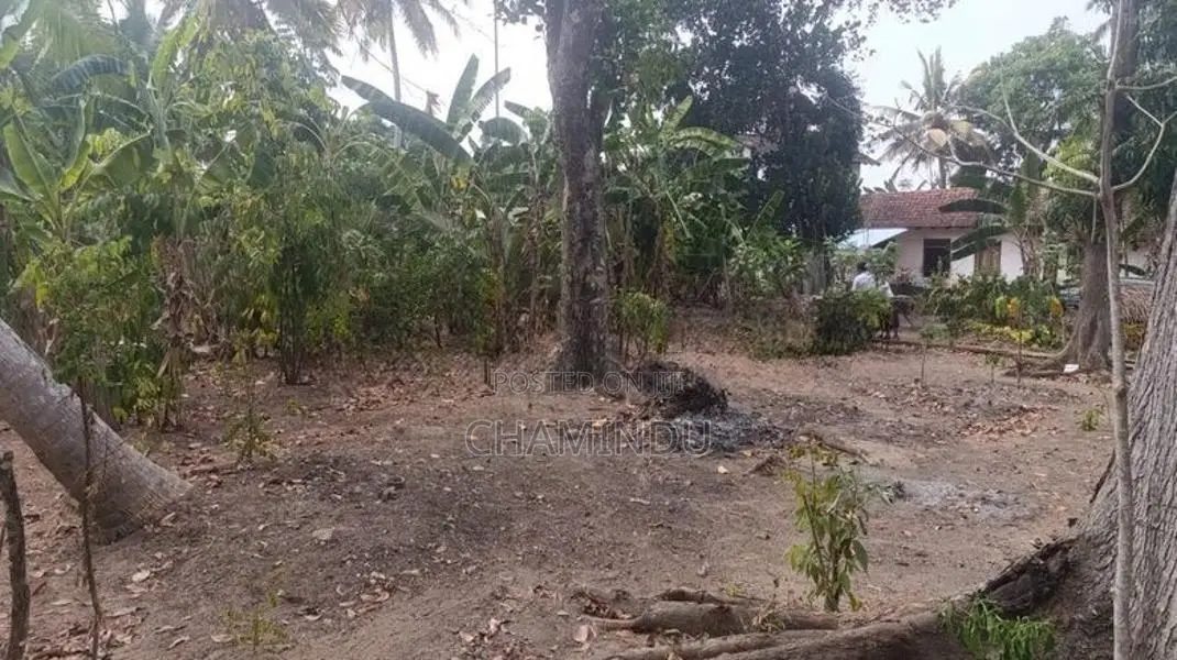 Land for Sale in Pannala
