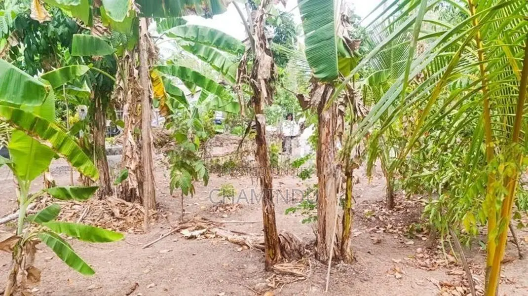 Land for Sale in Pannala