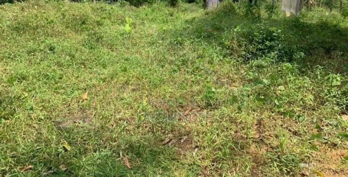 Land Sale in Kirimetitenna