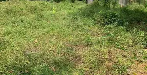 Land Sale in Kirimetitenna
