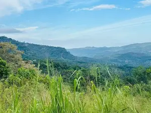SCENIC LAND FOR SALE IN HEART OF HAPUTALE TOURISM BELT