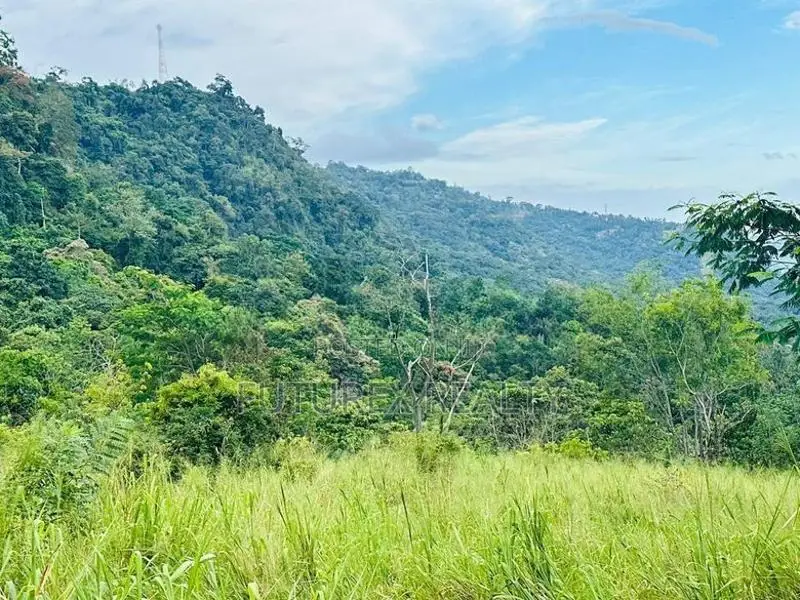 SCENIC LAND FOR SALE IN HEART OF HAPUTALE TOURISM BELT