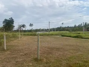 Land For Sale – Sandalankawa In Pannala / Dankotuwa