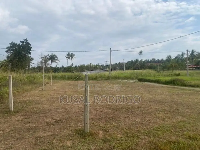 Land For Sale – Sandalankawa In Pannala / Dankotuwa