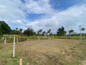 Land For Sale – Sandalankawa In Pannala / Dankotuwa