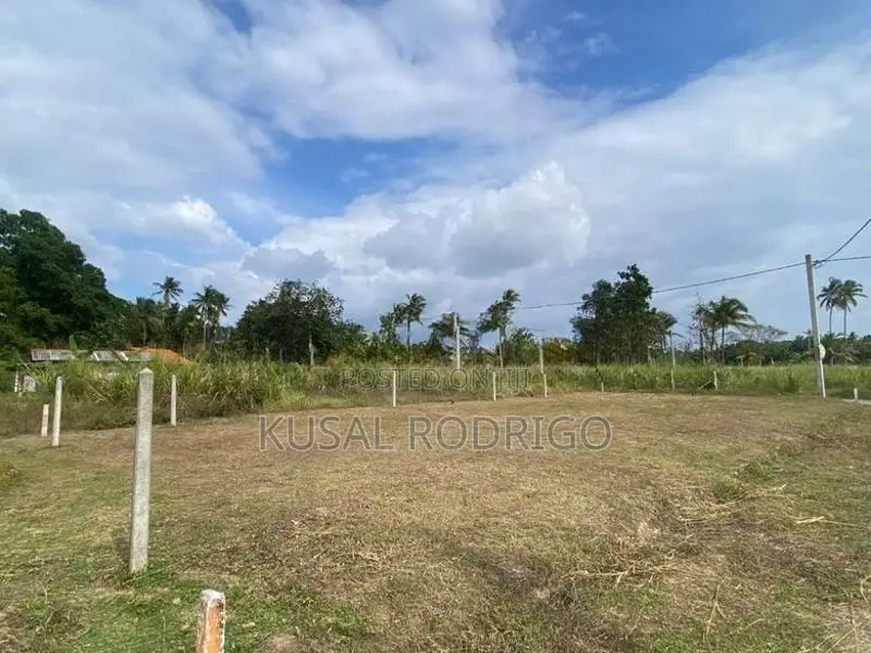 Land For Sale – Sandalankawa In Pannala / Dankotuwa