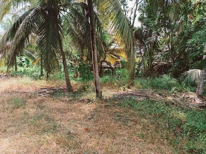 Anuradhapura Land for sale