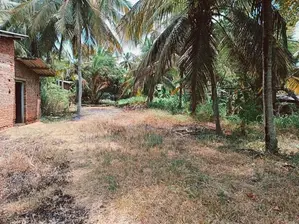 Anuradhapura Land for sale