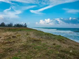 Beach Front 5+ Acre Land for sale Pottuvil Near Arugam Bay