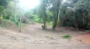 (afa465) 58 P Land at Galle Road Nagaha Duwa Payagala Kalutara