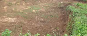 Land For Sale Matale