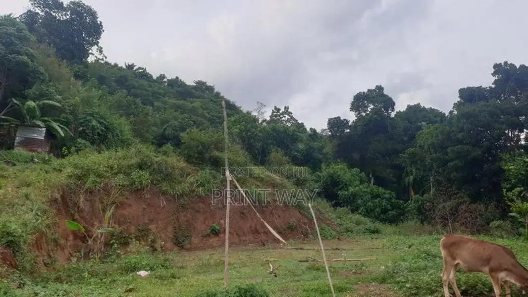 Land For Sale Matale
