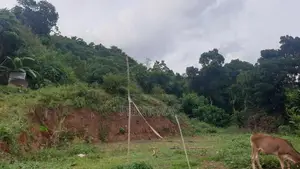 Land For Sale Matale