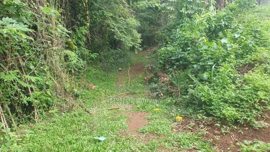 Land For Sale Matale