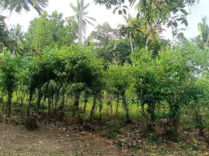 Land with House for Sale – Nagoda, Kaluthara