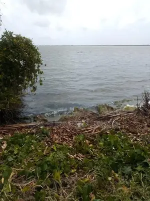 කටුනායක - කුරණින් ඉඩමක් විකිණීමට ඇත