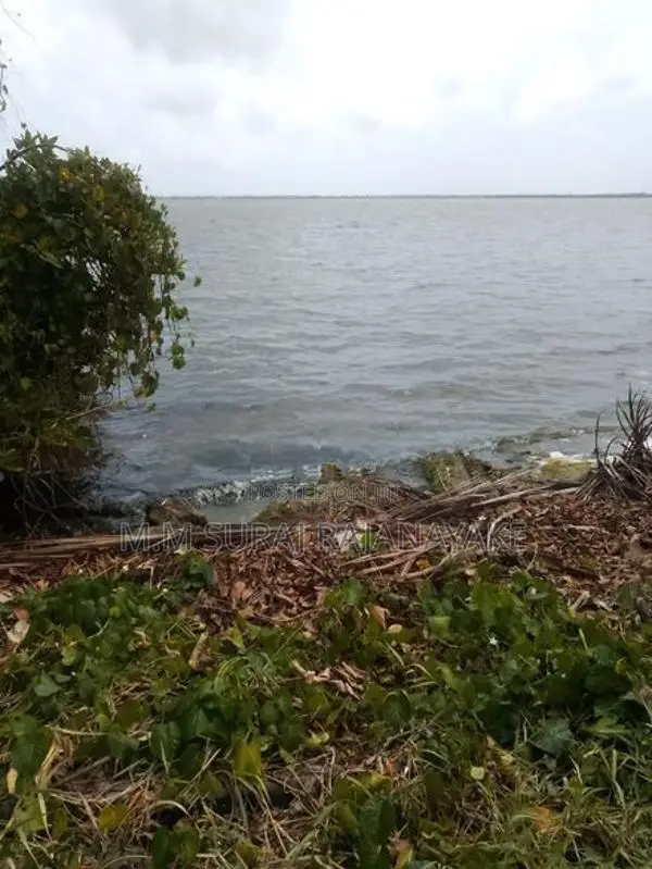 කටුනායක - කුරණින් ඉඩමක් විකිණීමට ඇත