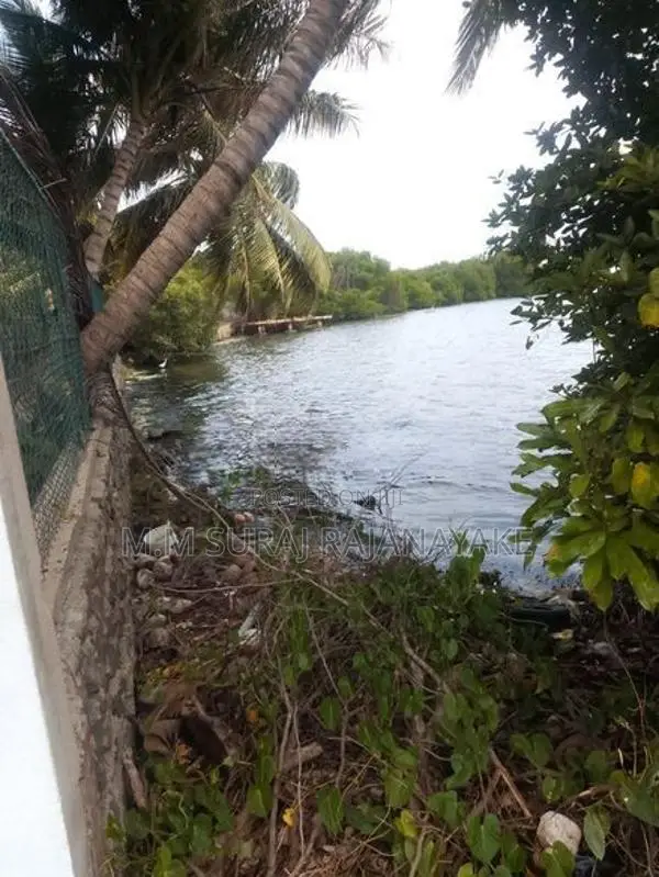 කටුනායක - කුරණින් ඉඩමක් විකිණීමට ඇත