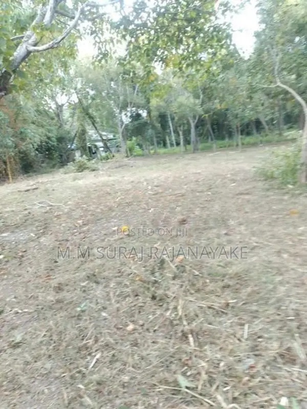 කිඹුලාපිටියෙන් පර්චස් 100ක් විකිණීමට ඇත