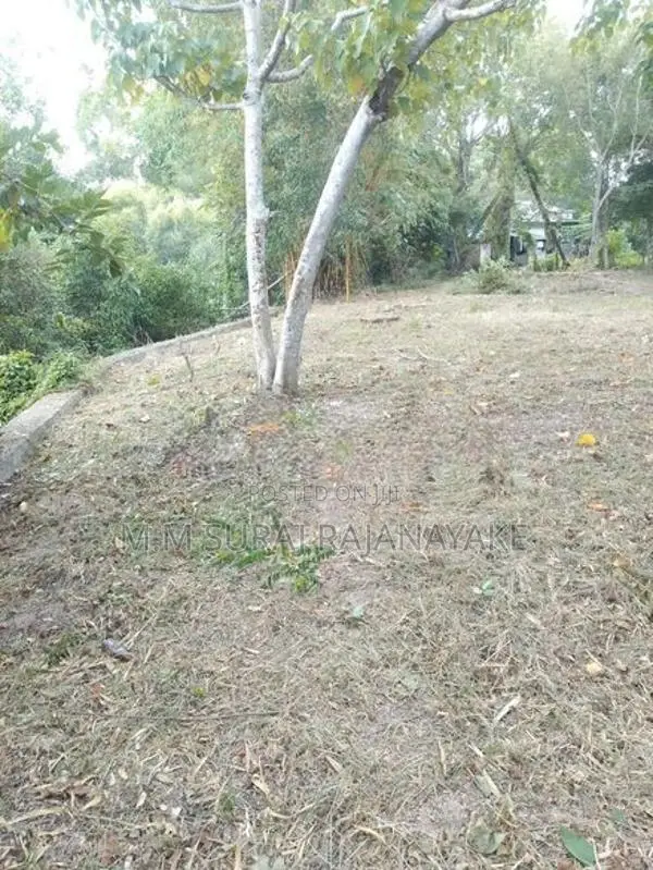 කිඹුලාපිටියෙන් පර්චස් 100ක් විකිණීමට ඇත